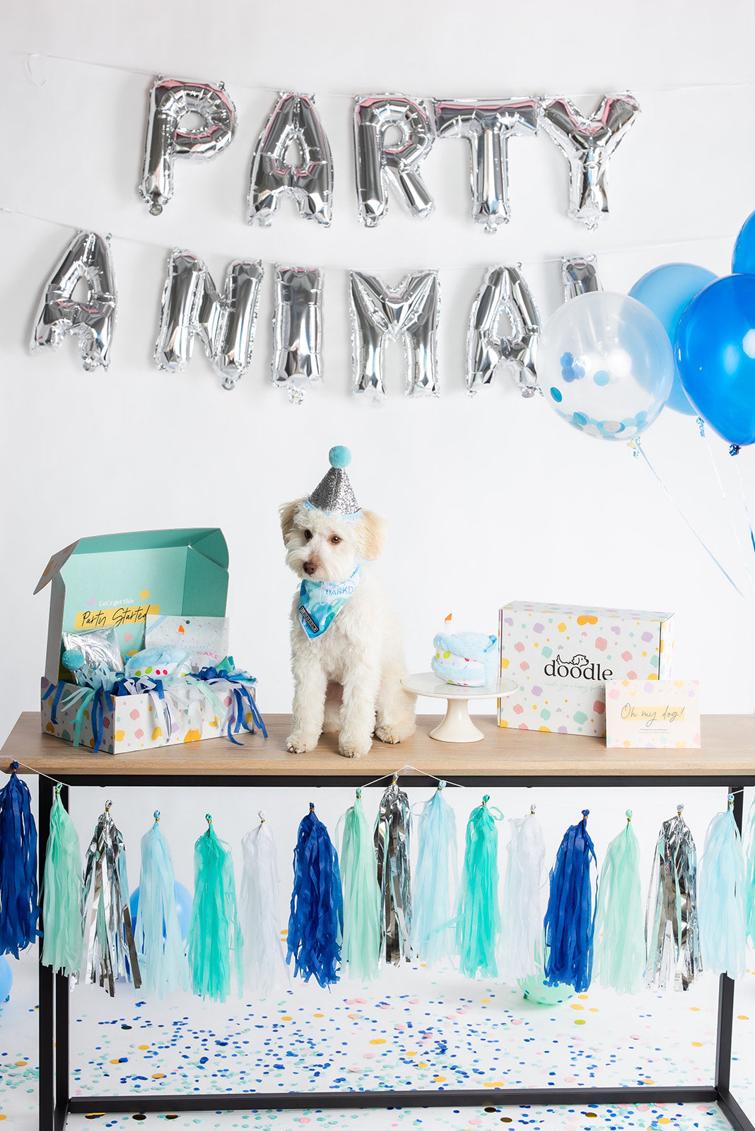 PARTY ANIMAL - FULL PARTY BOX (blue)